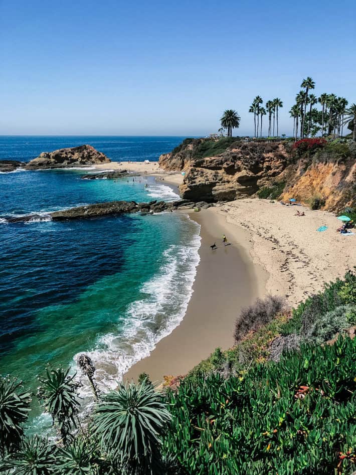 Shoreline on a beach in Laguna Beach, California with palm trees and sunny clear skies